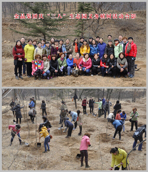 金晶集团庆“三八”生态园义务植树